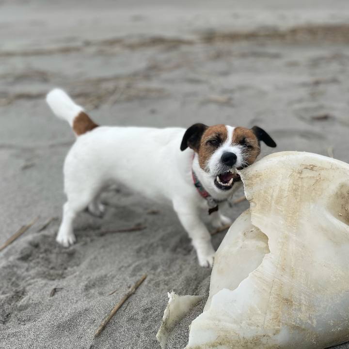 D38a02f3 9db5 4e02 bfec a8472385ea20 1744935066008