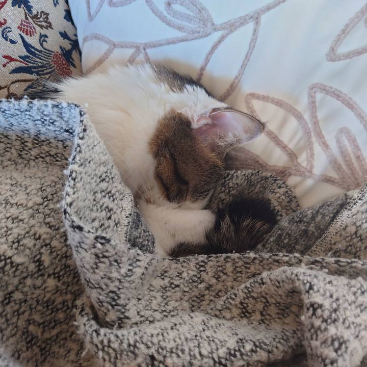 D38a1e36 ef4c 4a03 b201 d70116a67865 1743750186310