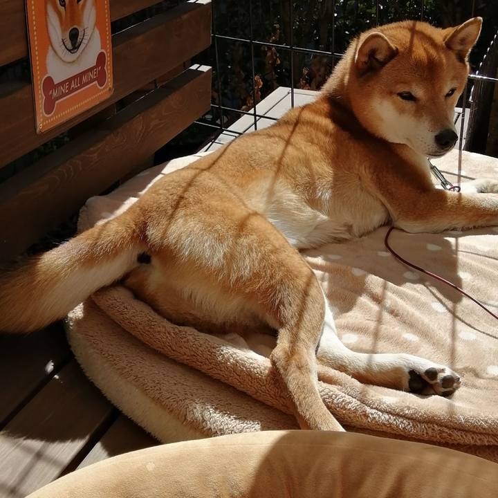 D38a20c6 0d2f 40f7 85f5 037850f07028 1614154292519