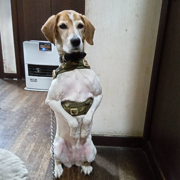 D38a2236 3a0f 4fb7 acde 59b042754292 1738070742701