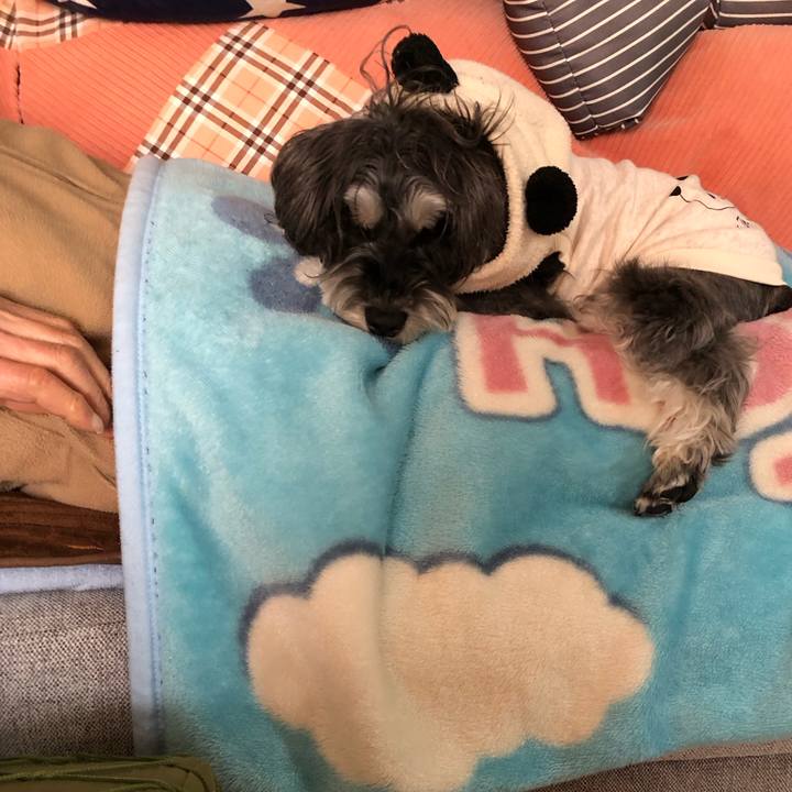 D38a6302 4dcb 44b3 ba96 40f550ecb57e 1703323499720