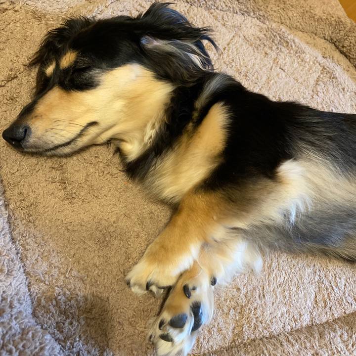 D38a840a 4ce2 4bd0 b1d5 cfebf2f3f74c 1685667345209