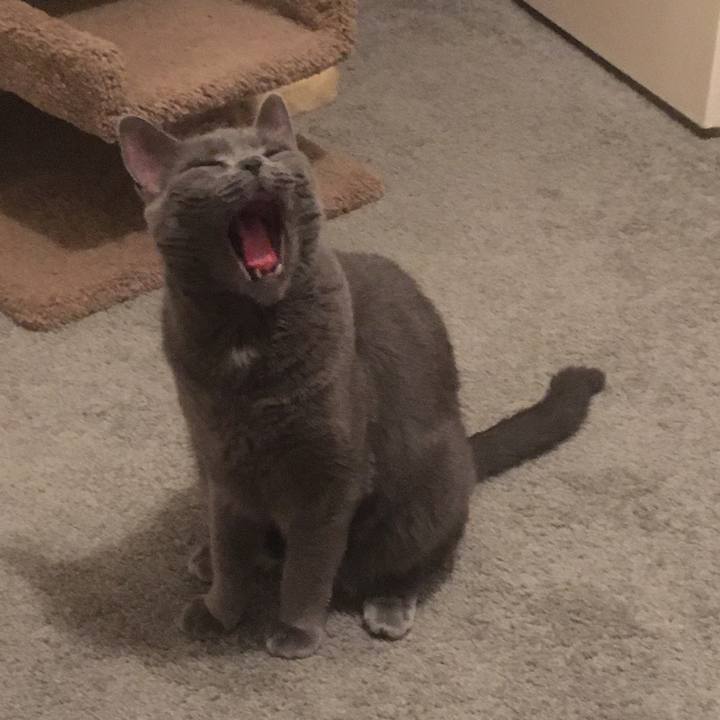 D38a9983 24dc 425a ae66 01f63d6ec43b 1658534645801