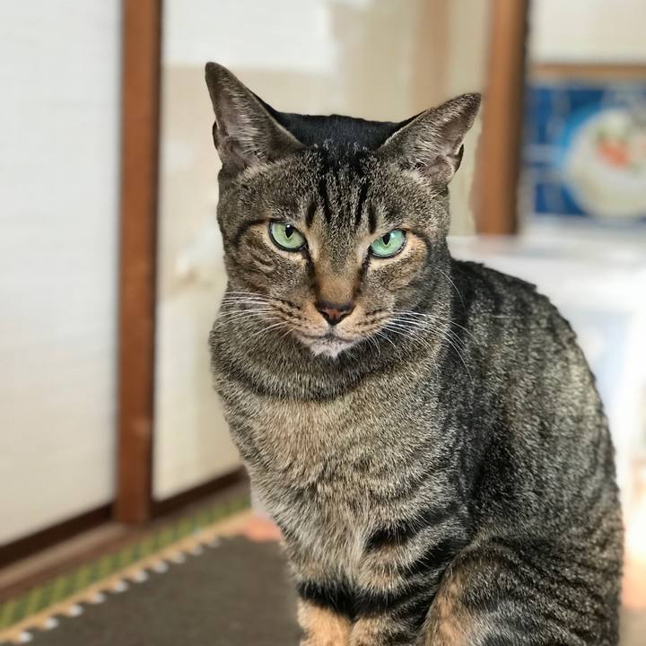 D38ab2d1 bc1d 4b6f b3fc c9486838fa9a 1513904833019