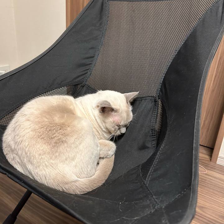 D38ab52a 9d4b 4020 b862 9152063464ec 1736584167419