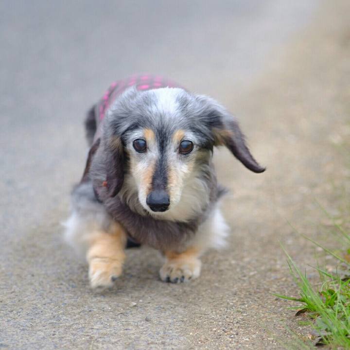 D38adee7 5d86 497b 804f 2adb2142fefc 1597412721885