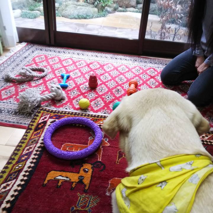 D38ae0e6 e049 4cfa ac0b 3ab1b99fa7ce 1547272357093