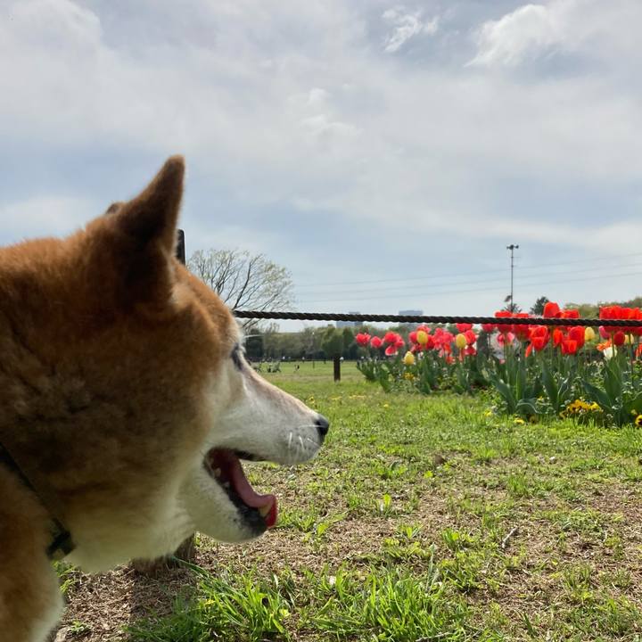 D38af44c 12c9 45a0 bef0 0f6593ee9169 1680246331770