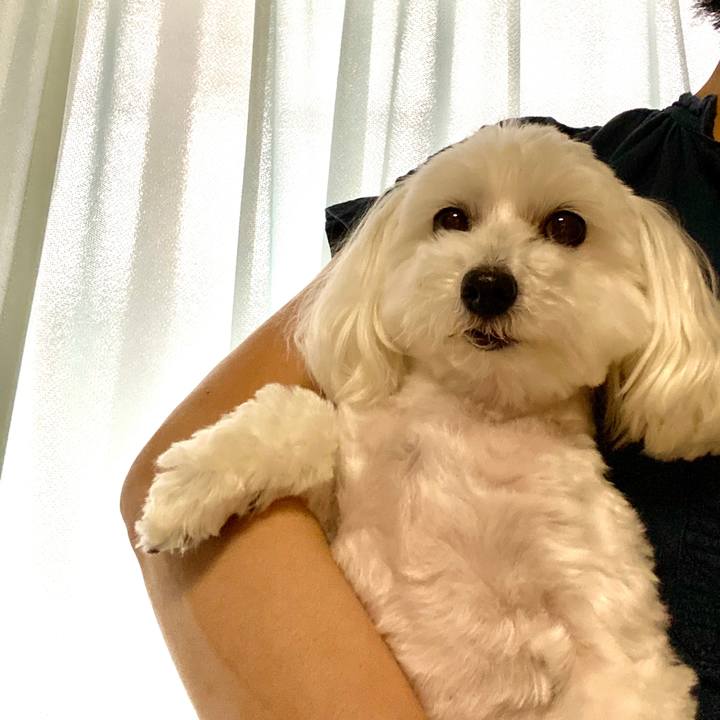 D38b1ea8 25ad 4236 8826 f85df7458356 1595747295615