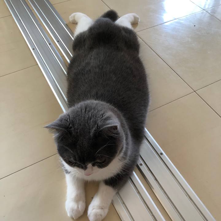 D38b428c 01f6 4d95 bcc1 bbba54a3a0a5 1531615169528