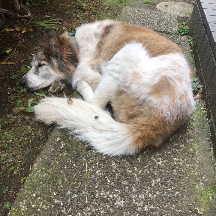 D38b56ec a33c 49d2 a757 f98aab68bc85 1526351679990