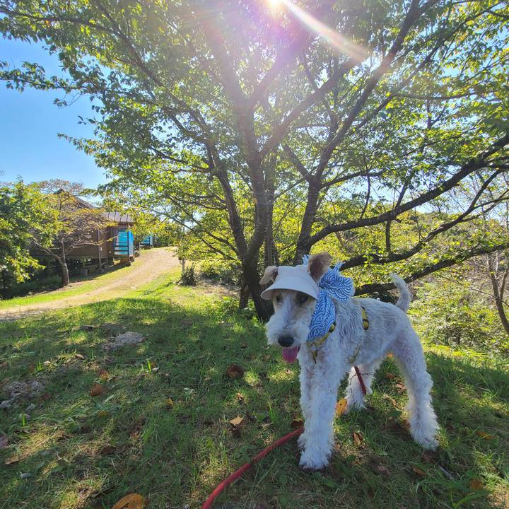 D38b7647 fcc5 4b4e 93e2 04d9f6c460e6 1664197720672