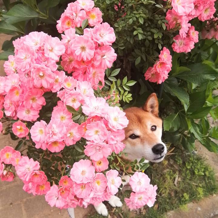 D38b858c 52c5 4539 be6d e7dacd6b724f 1621126581249