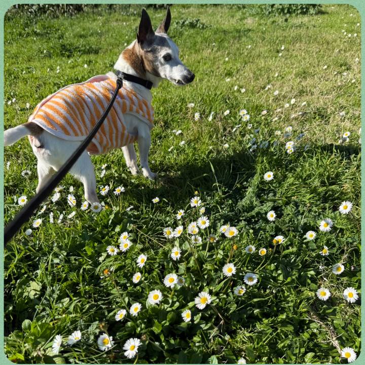 D38b8944 f1a8 4b20 a323 497e4836dc6e 1770034369995