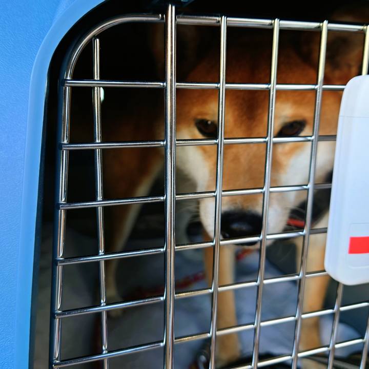 D38b9b37 0286 41e7 b646 95b6697505f7 1764584818300