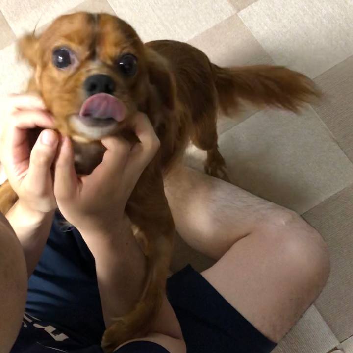 D38baf91 ab78 4c2b ba09 135a6dc83bbf 1562105837335