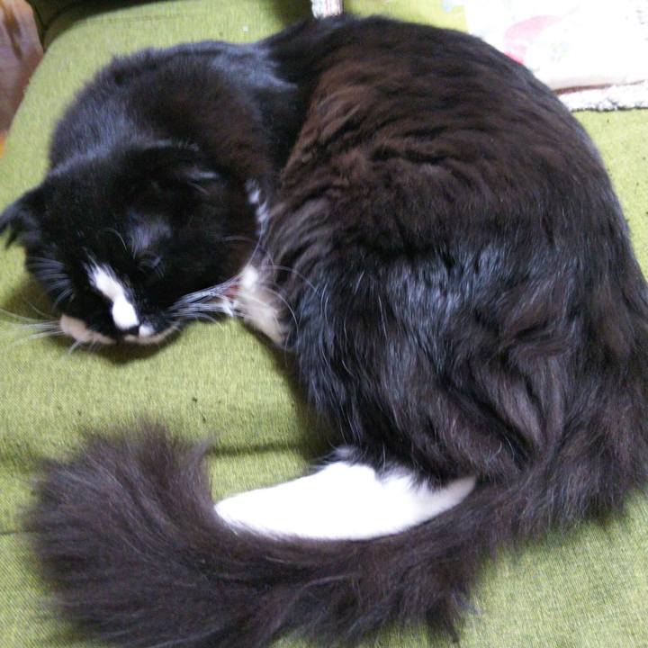 D38bc7e6 c2aa 4351 a5d2 4fb6bd2ab39b 1648448563232