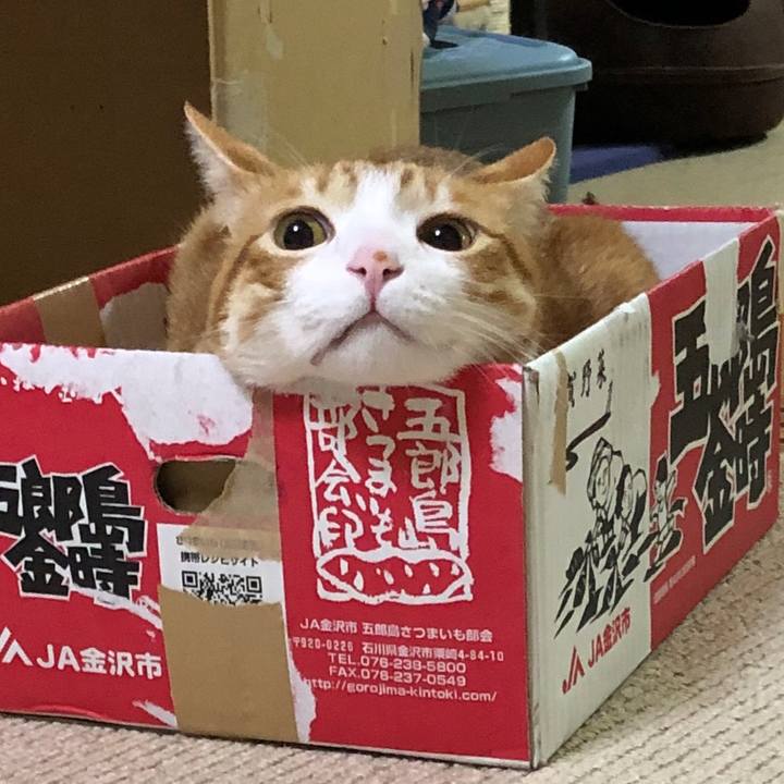 D38bcc70 5705 4107 bdd5 2efb1a1941d7 1576754769506