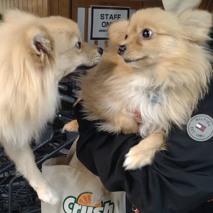 D38c0298 f2fd 49e2 90f1 8a07e181ec7e 1741564856496