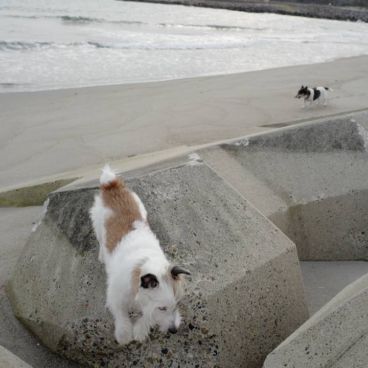 D38c0306 60c0 401c 8d60 f643ee56da64 1553921654639