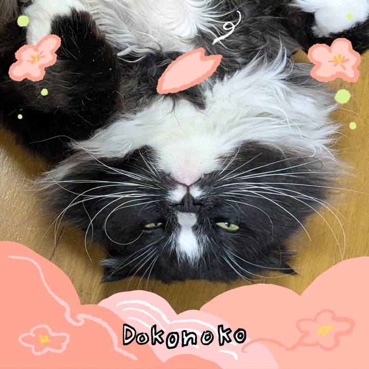 D38c06a7 21bb 4915 a728 ee6e0c0b8480 1775254084267