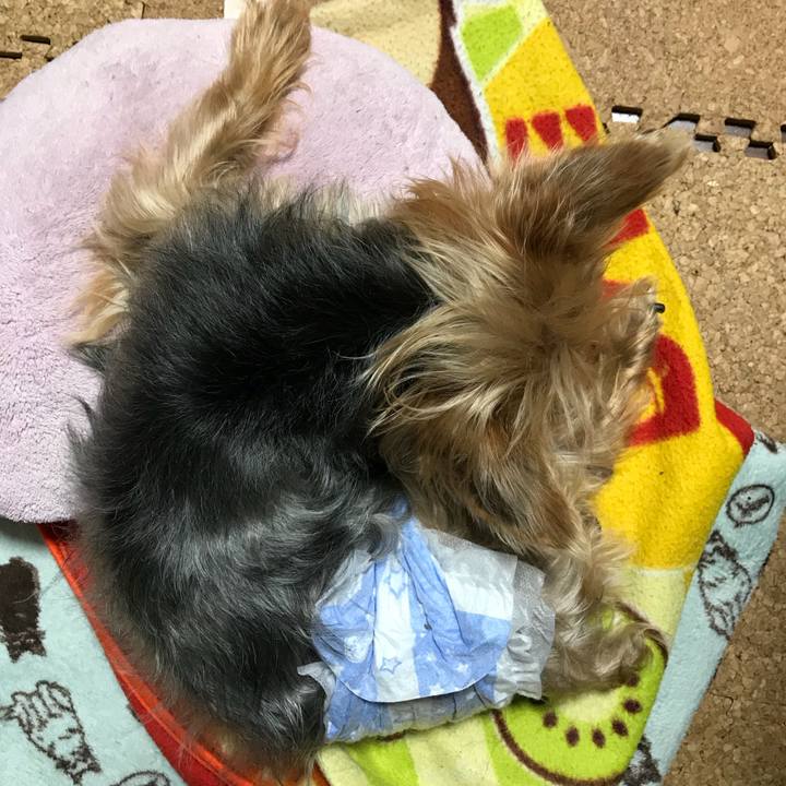 D38c0d48 488d 475b a2ef 5dcd0da2728d 1511698856996