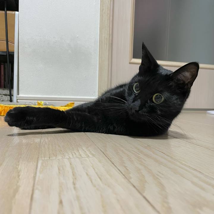 D38c3487 8cbe 4305 93dc 2a2d3e6a0b6e 1699359305919