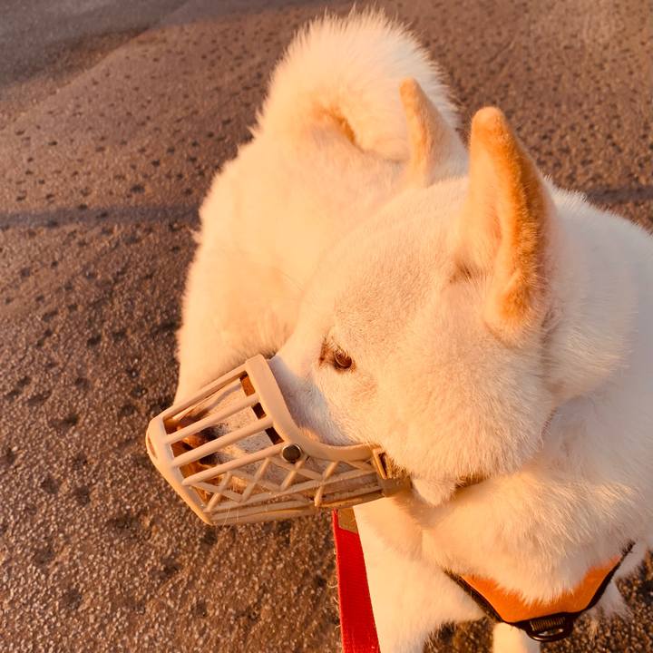 D38c5562 aa52 40fe af92 839ec51e7449 1618950945327