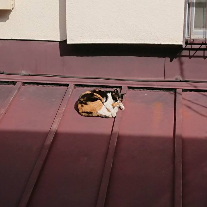 D38c6170 371f 4383 9921 2b59ab538546 1549768023591