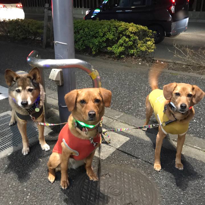 D38c718e 087a 4297 a46e 8fa1b688c945 1552134856546