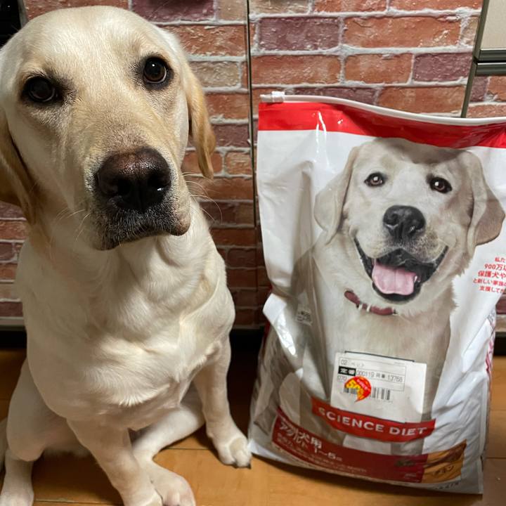 D38c744c fbd0 44a0 989d 06d1da8f8621 1644839096067