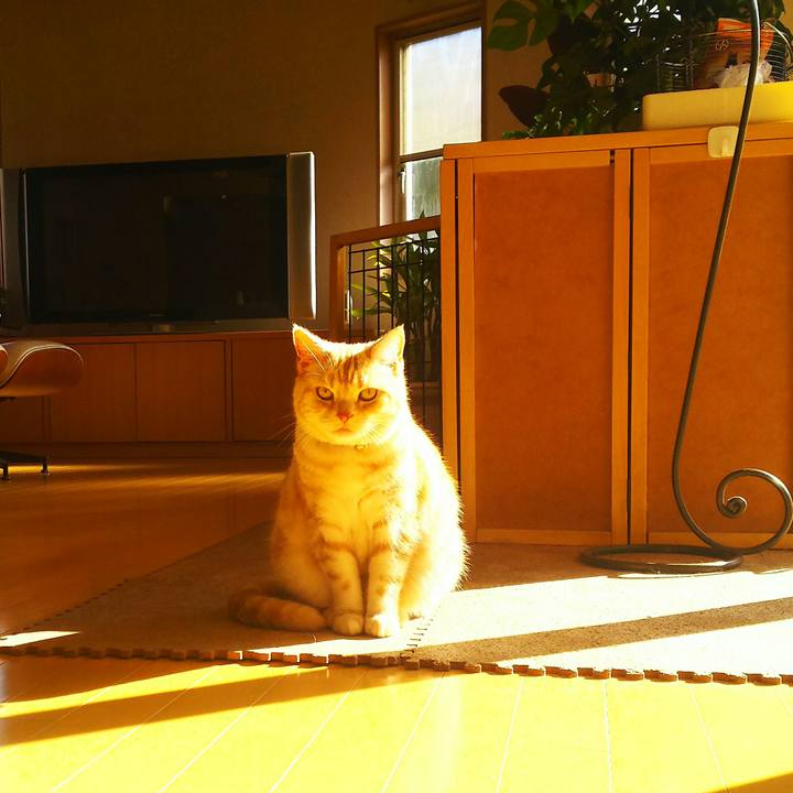 D38ca374 37d4 4016 a475 21546e5ea7ad 1513053744835