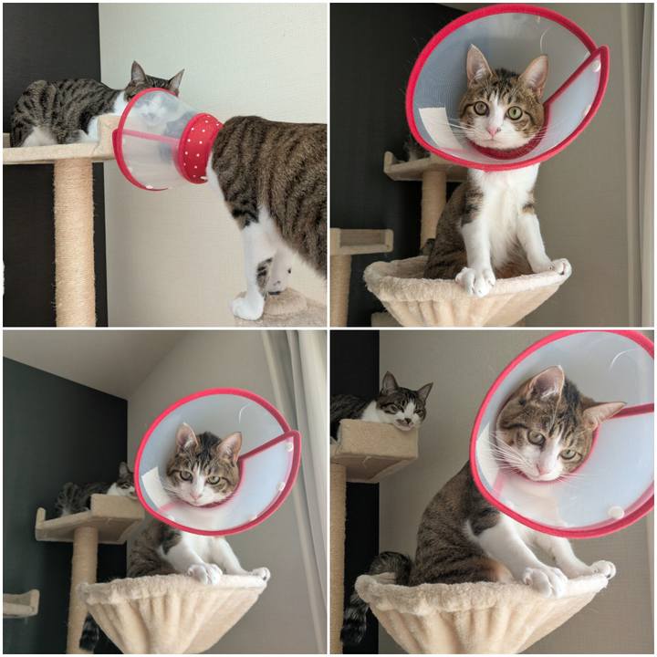 D38cccf7 a3c8 4384 85b3 bca4376f4362 1746926706128