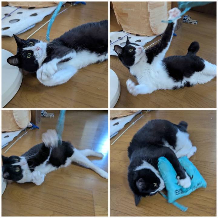 D38ce621 5cdd 457d b343 f9548eae0752 1754302285097