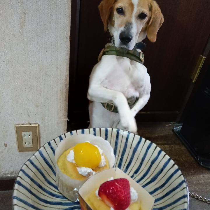 D38d090f 5c76 4727 8477 673848172c62 1715234507128