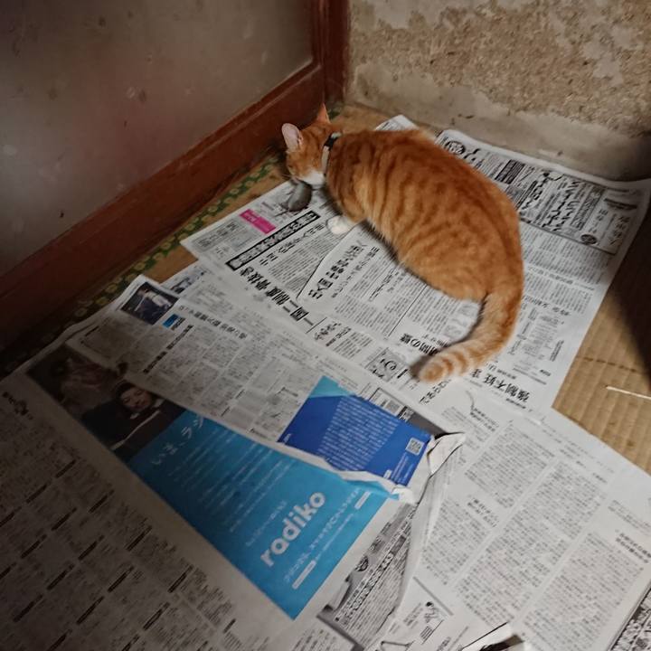 D38d0cab 3187 4ad6 bbee db6b4f0ce8c4 1594240296563