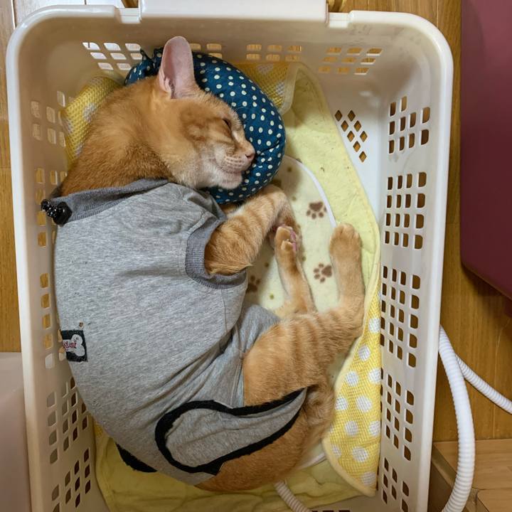 D38d372b 3824 4646 957f 4f0ca1eec93a 1636751615983