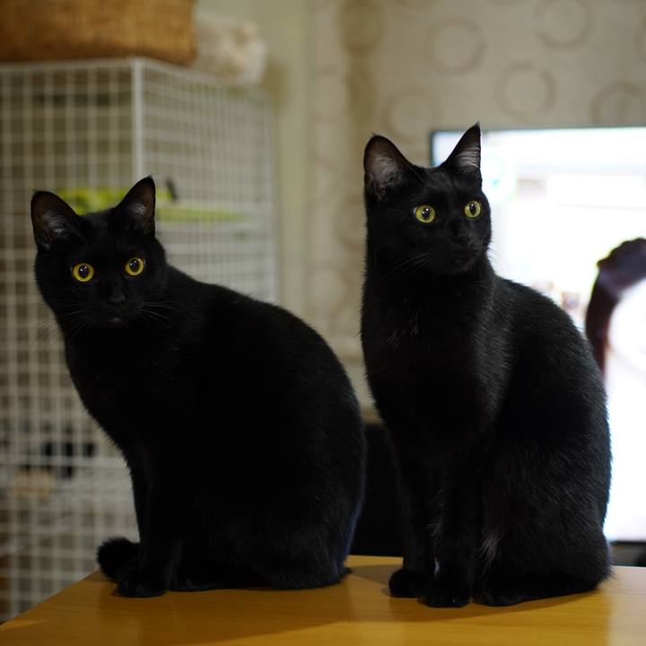 D38d9f18 9cb5 47f1 a327 6ed1262b60da 1574208068157