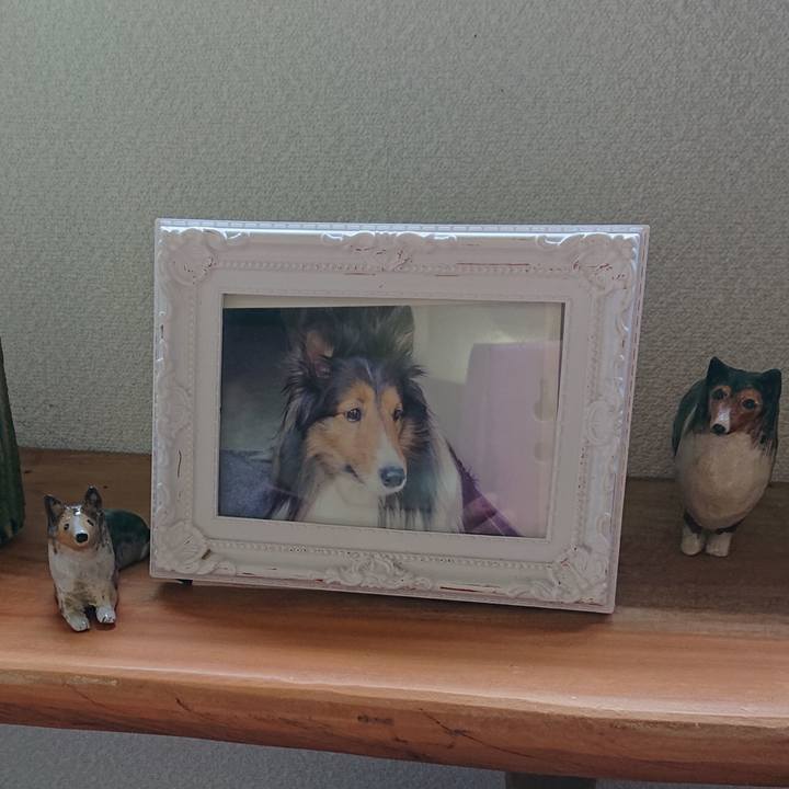 D38dc9ab b49d 46f5 8165 d865ab7cee2c 1580114008875