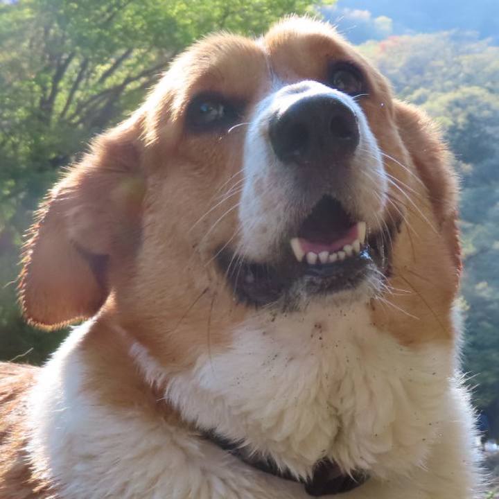 D38ddbb7 29d0 4add b203 bd9b7121b756 1681037200796