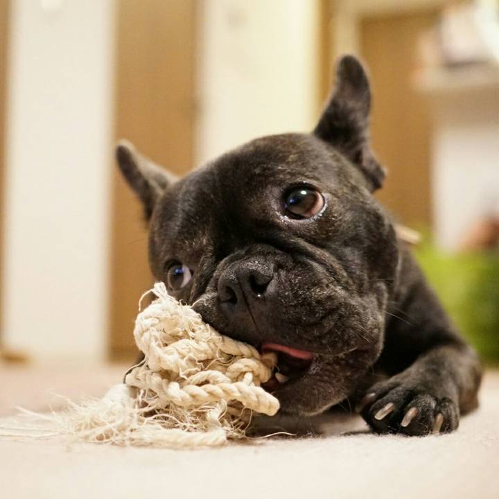 D38e0df5 470f 4ff8 9ce4 6d50e660fd6a 1513897448084