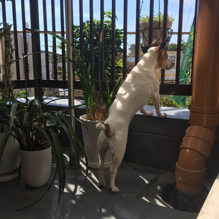 D38e241c 1c2c 499a a4de 7ea18def2ee9 1532604970279