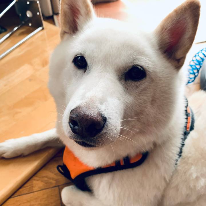 D38e27ce 43e4 4484 8f15 c434e704ec45 1634683951721