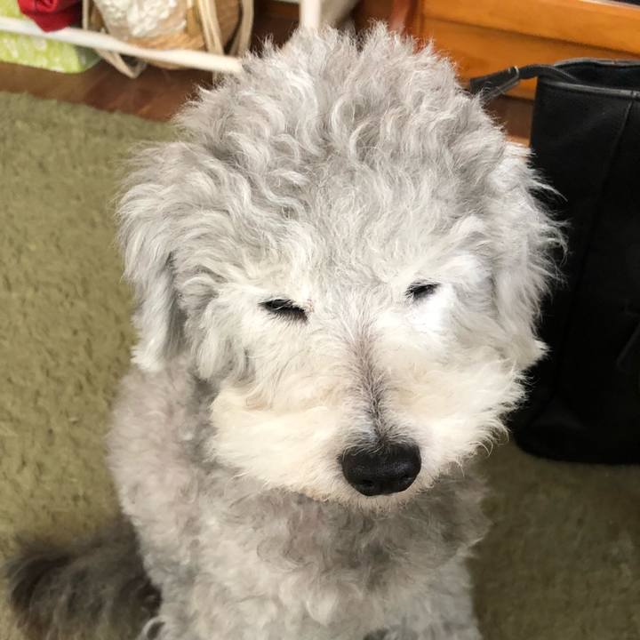 D38e6d3d f89e 4c53 95d0 e052757021c7 1526253038920