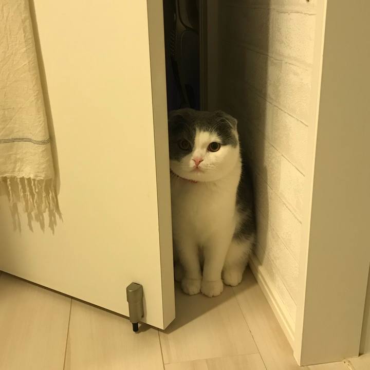 D38e80b2 82e2 4e65 8684 e5d7a0d70741 1515623839933