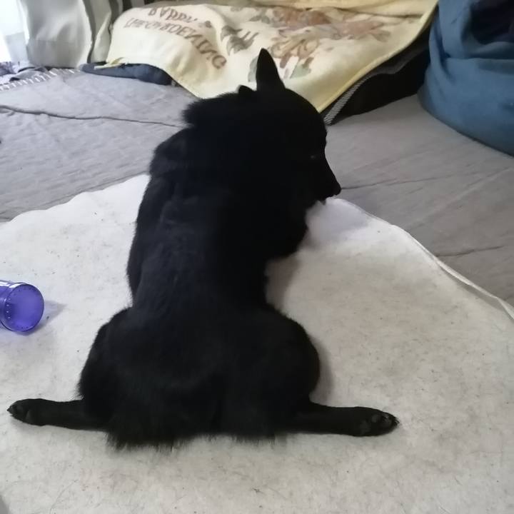 D38eb452 5775 4964 801d cd8cb56cfca6 1617833977504