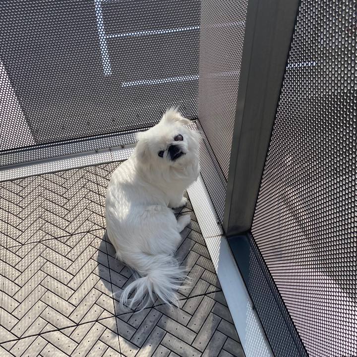 D38ec611 a66a 4d15 a069 e47af7e56bce 1649377305091