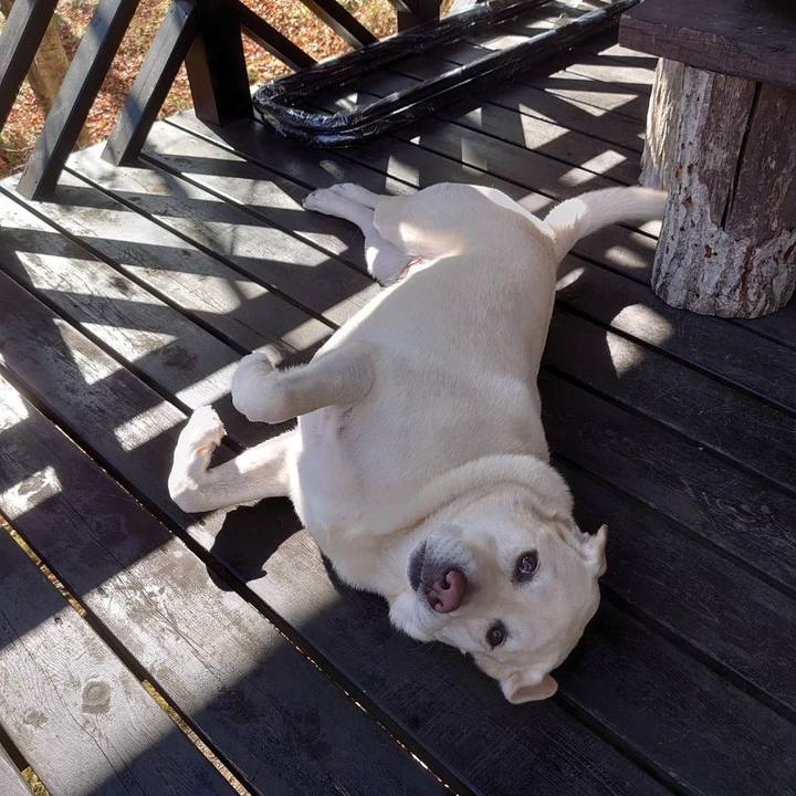 D38ecef9 ca97 4eeb 9671 960f6728c70b 1667620453424