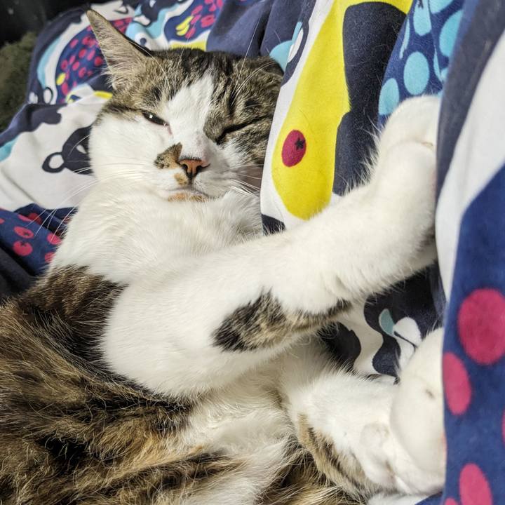 D38ee77b 2339 42bb 9257 036dba5ef510 1710639582710