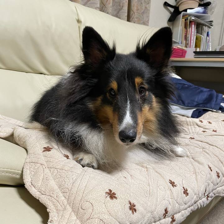 D38ef560 3b4a 4fdc a861 eebc46962935 1636582699262